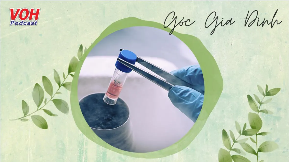 Bất chấp chi phí, chị em chạy đua trữ đông trứng trước tuổi 35