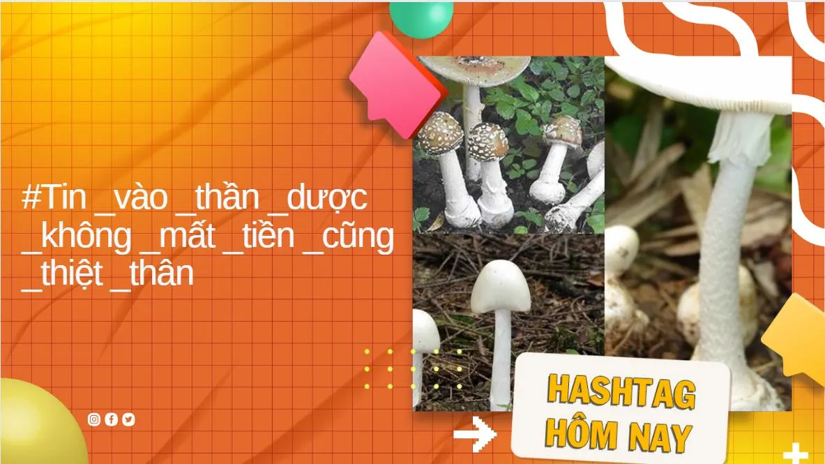 Tin vào thần y, biệt dược: Coi chừng tiền mất tật mang