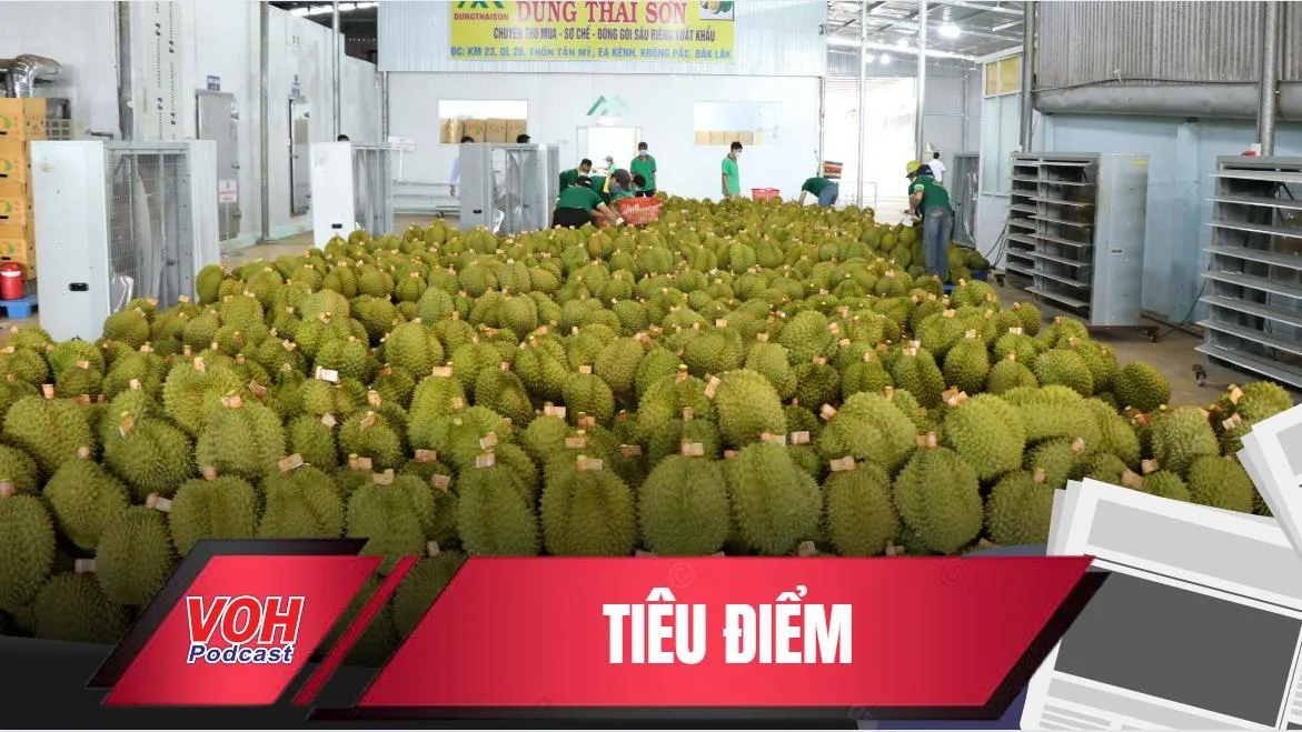 Khơi thông dòng chảy xuất khẩu chính ngạch cho sầu riêng Việt Nam