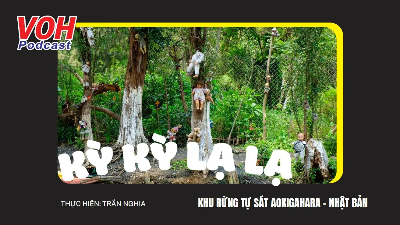 Bí ẩn khu rừng tự sát Aokigahara - Nhật Bản